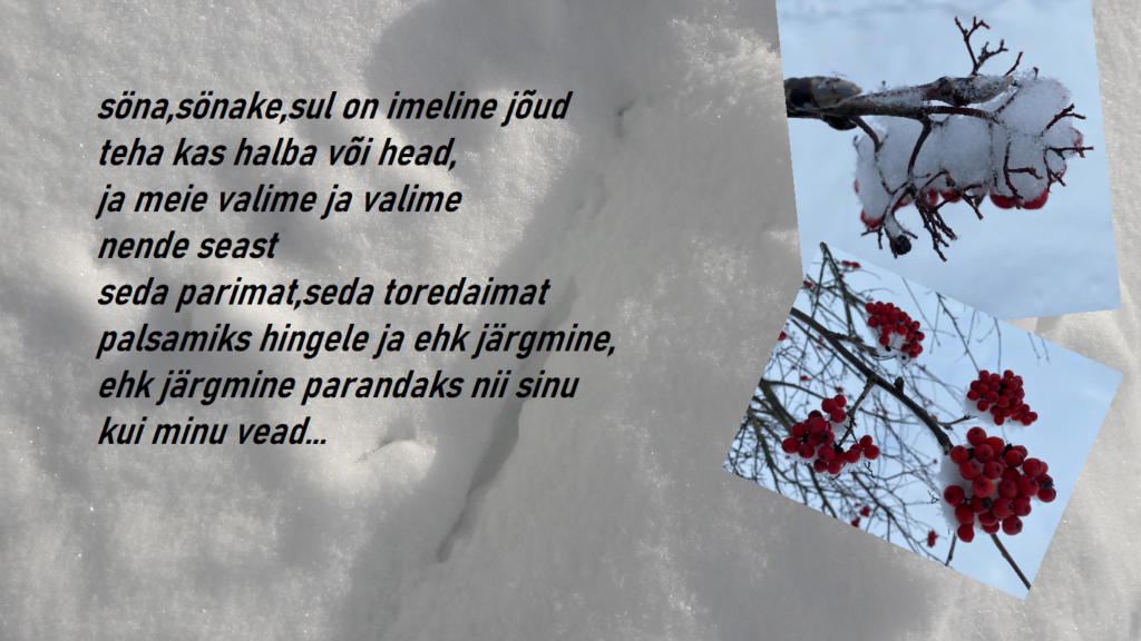 SÕNADE KODU,TUNNETE VARJUPAIK