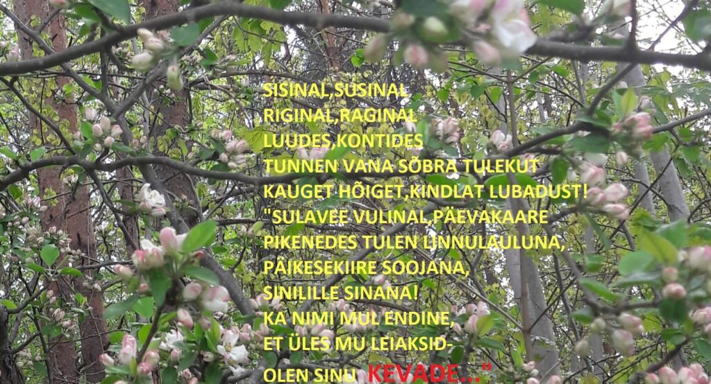 VANA SÕBRA LUBADUS