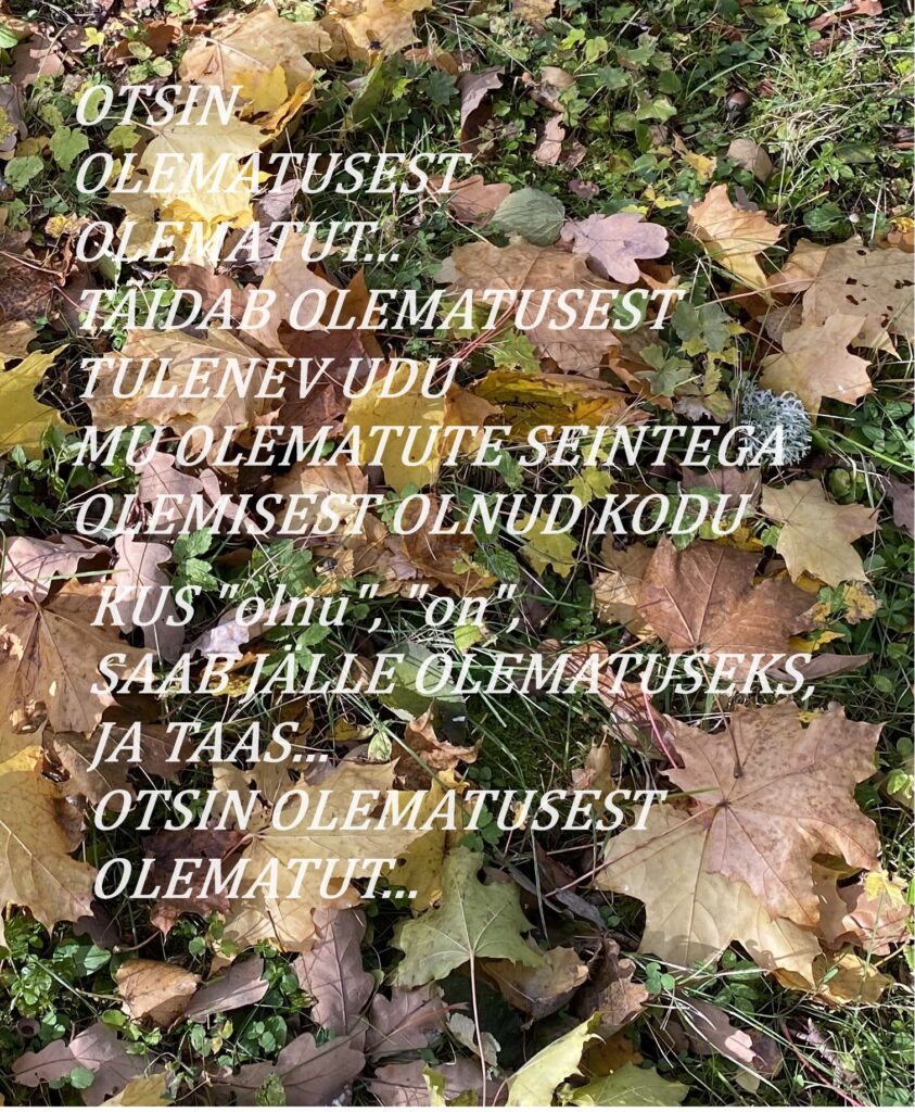 olematu otsing